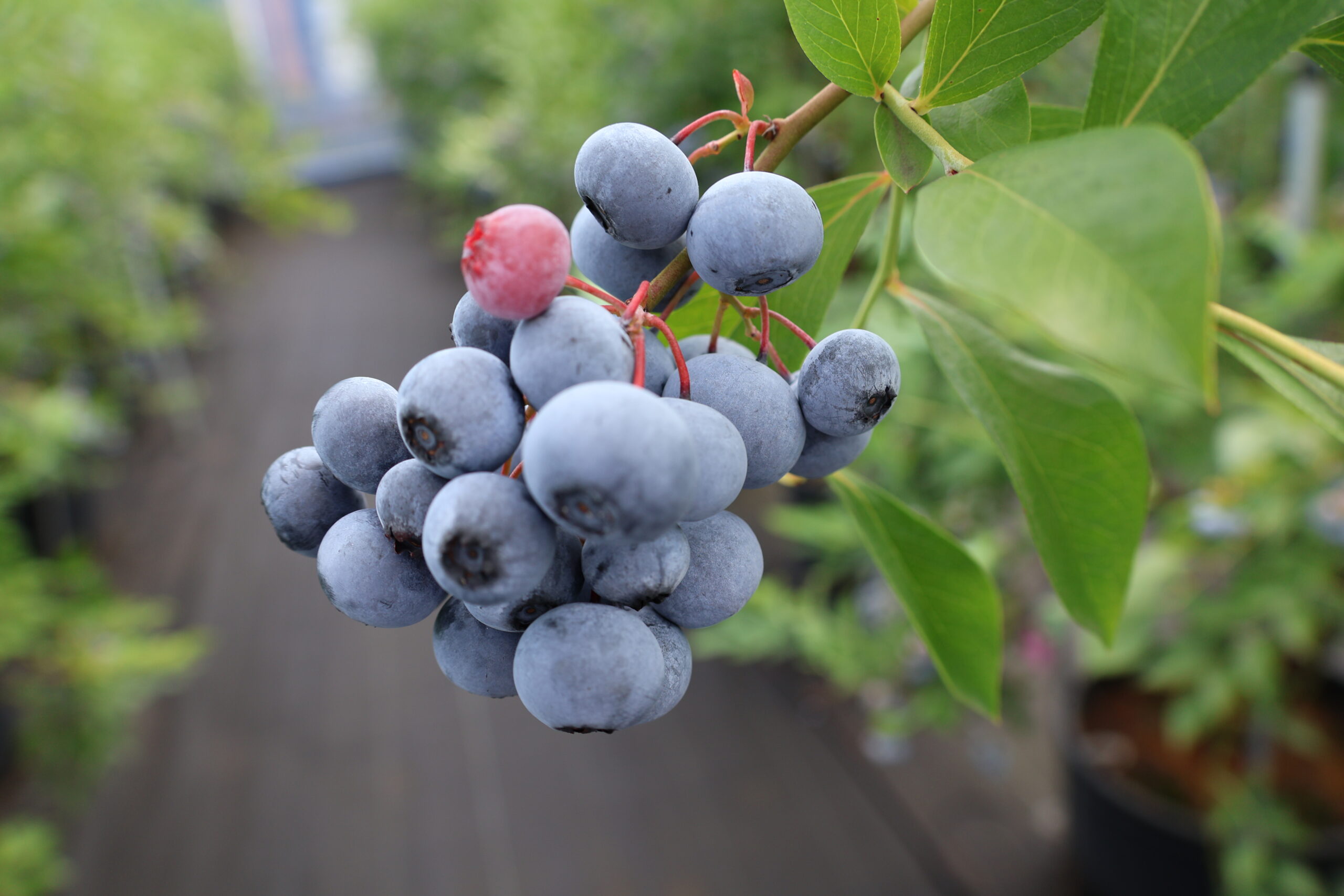 プレミア2-scaled.jpg?w=640