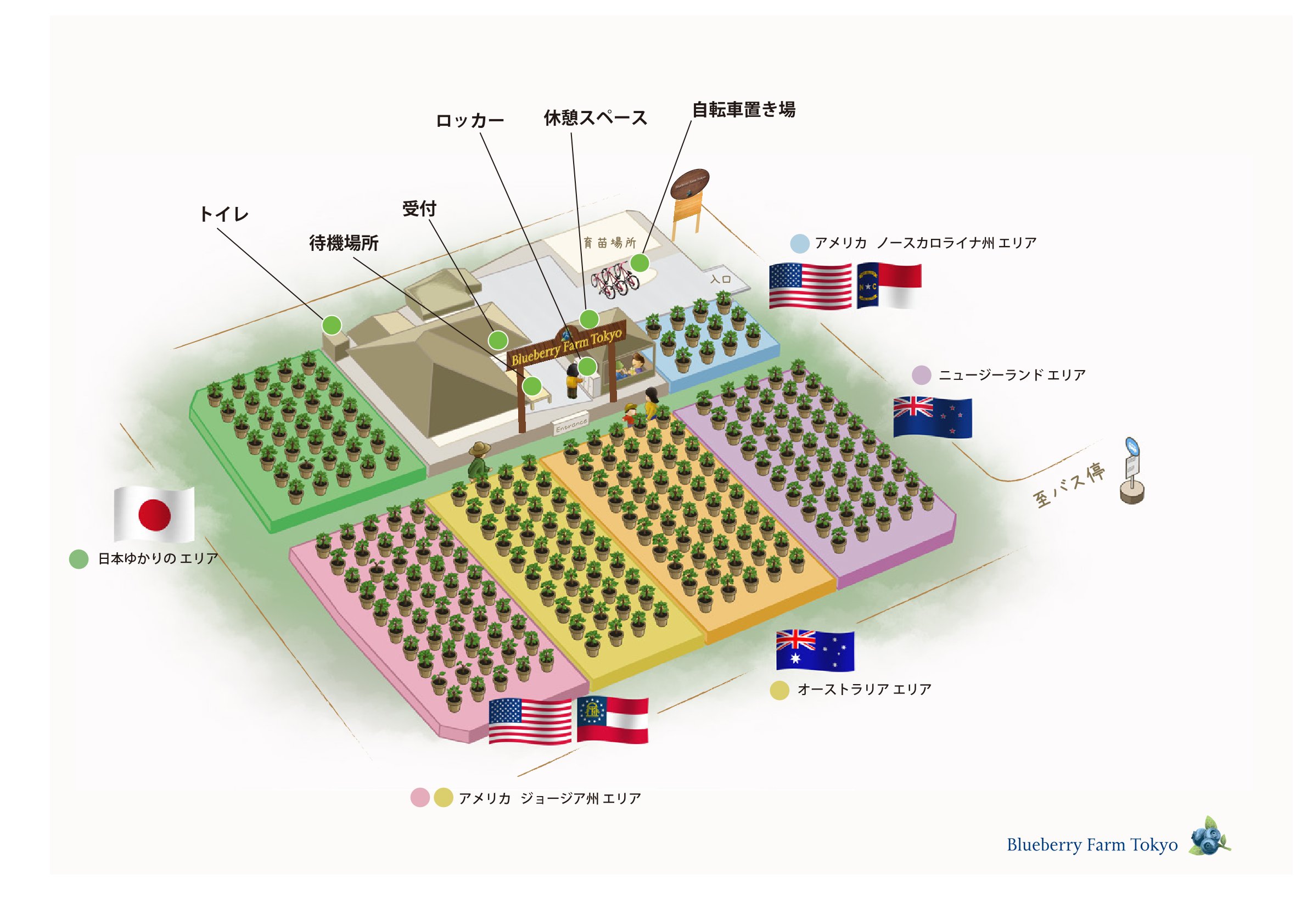 園内マップ | 農園紹介 | ブルーベリーファーム東京