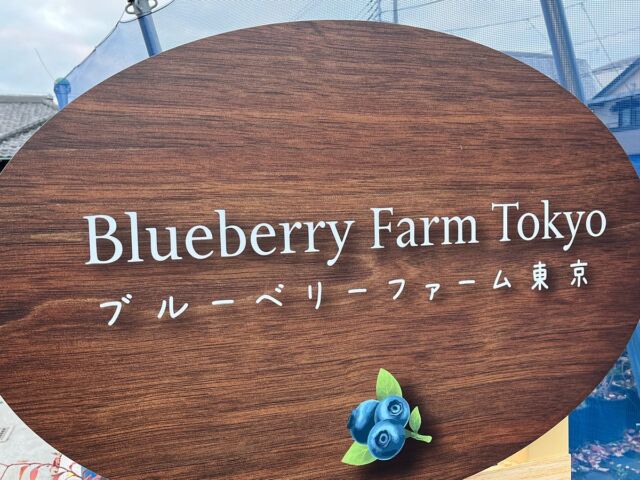 本日仕事納めになりました😄
初オープンということもあり、色々至らぬ事もありましたが、どうにか乗り越えることができました😊
そして、沢山の方に大変お世話になりました😭本当にありがとうございます‼️
来年も宜しくお願いします😆
#ブルーベリー
#ブルーベリーファーム東京
#観光農園